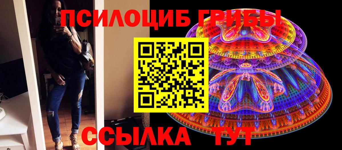 Ипатово  Галлюциногенные грибы ЛСД  Вход с VPN 