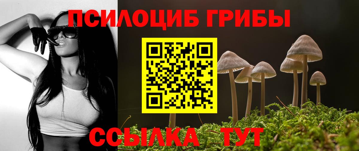 Псилоцибиновые грибы GOLDEN TEACHER Ипатово